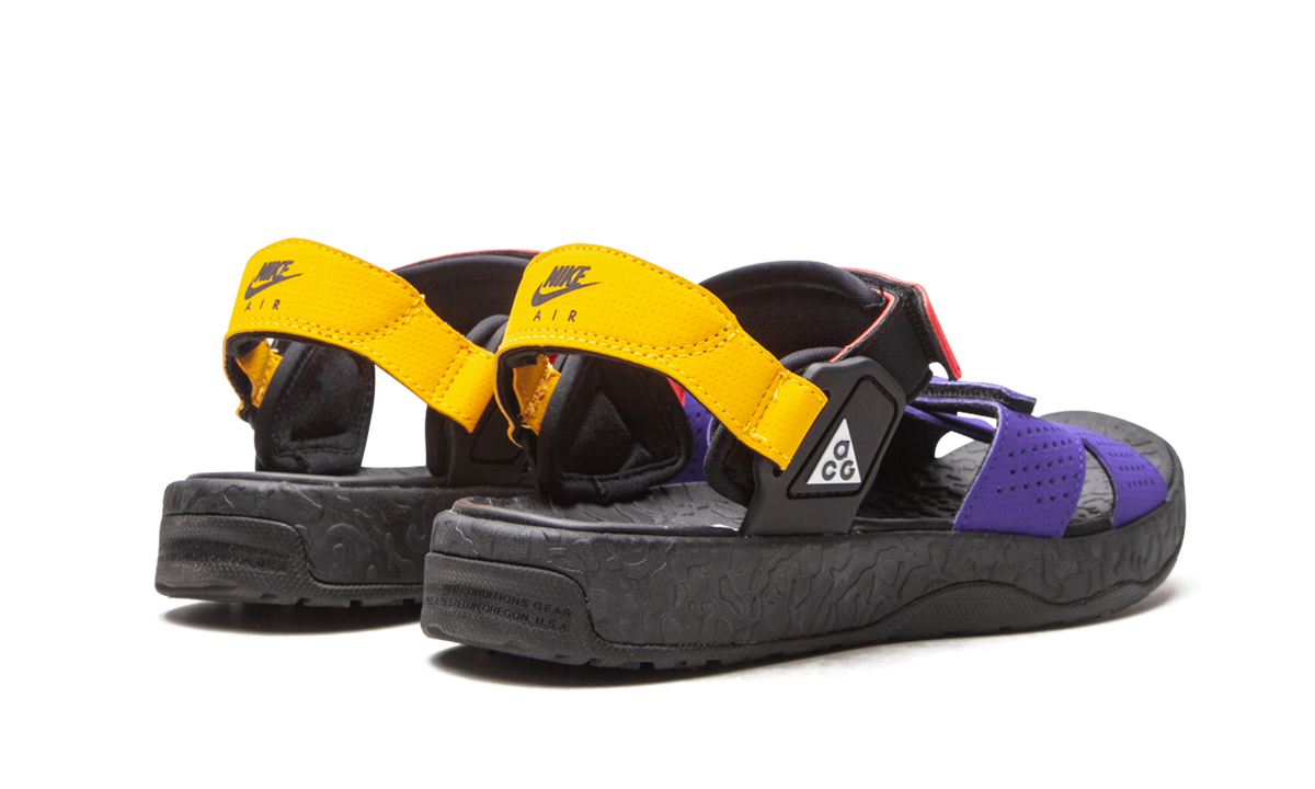 ACG AIR DESCHUTZ "Fusion Violet Black" CT3303 400