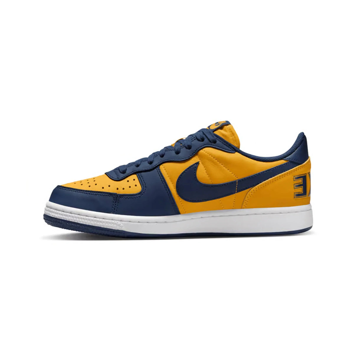 Nike Terminator Low 'Michigan' (2023)