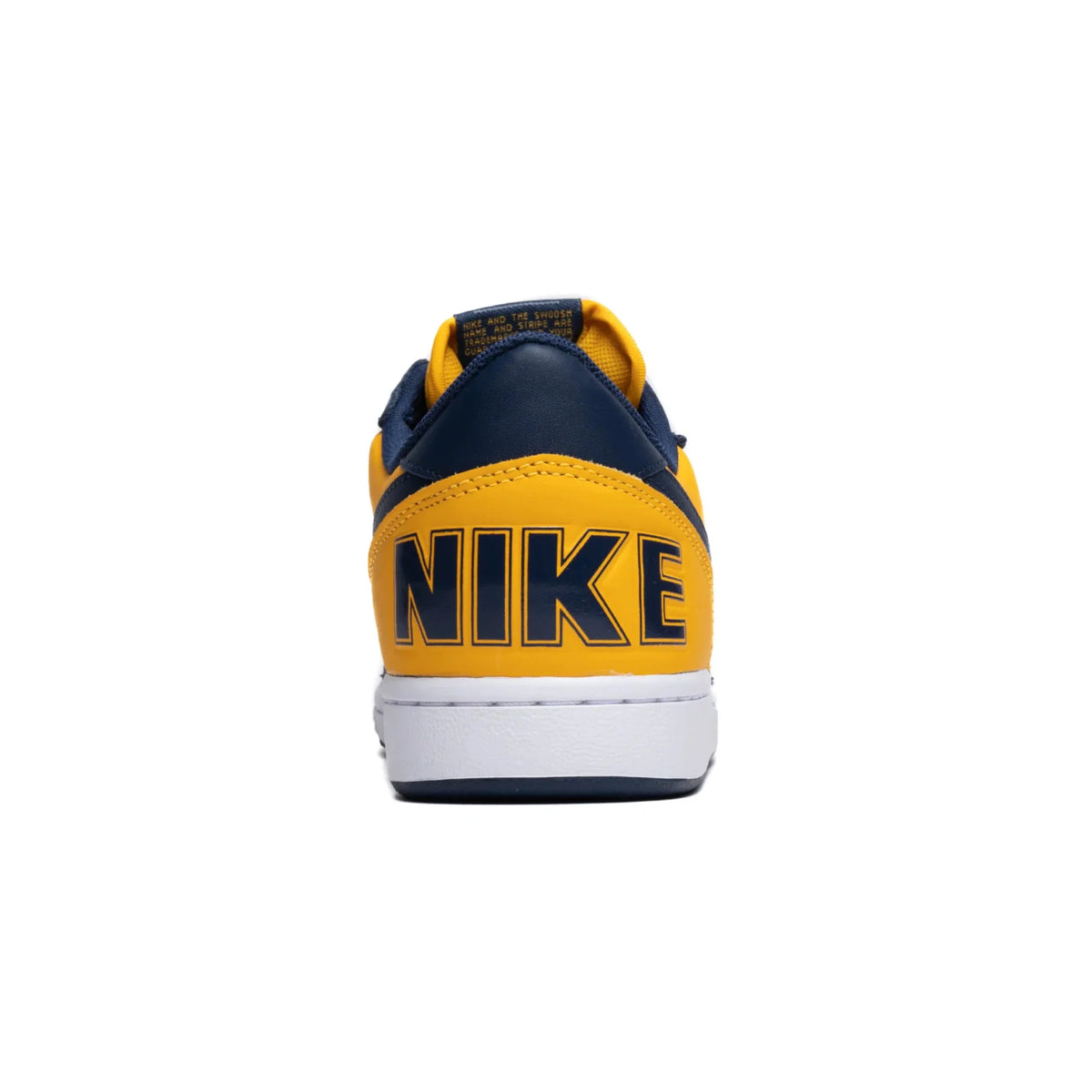 Nike Terminator Low 'Michigan' (2023)