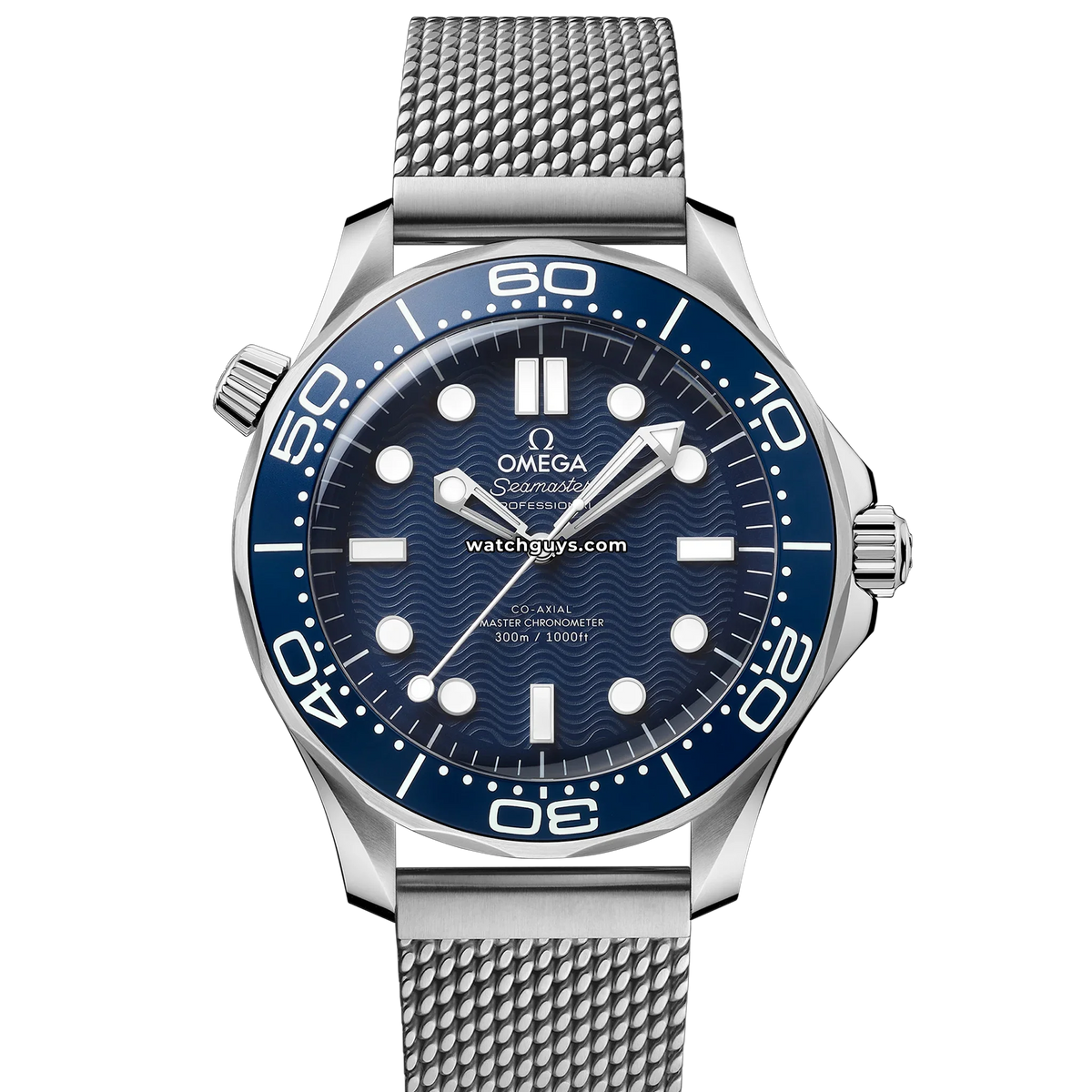 Omega Seamaster Diver 210.30.42.20.03.002