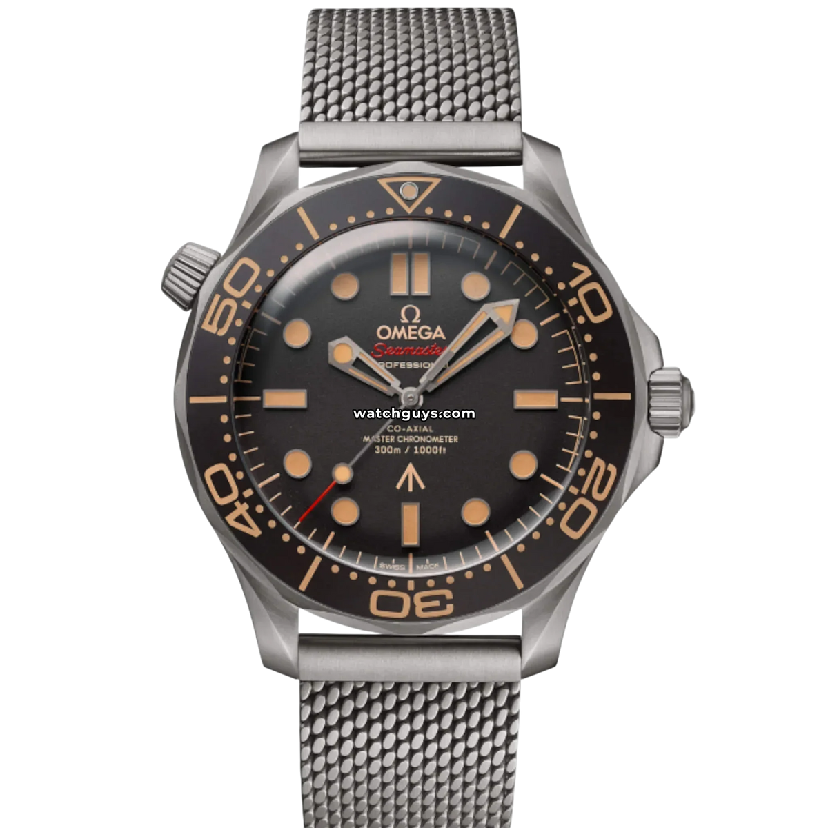 Omega Seamaster Diver 42mm 210.90.42.20.01.001 Brown Dial Titanium