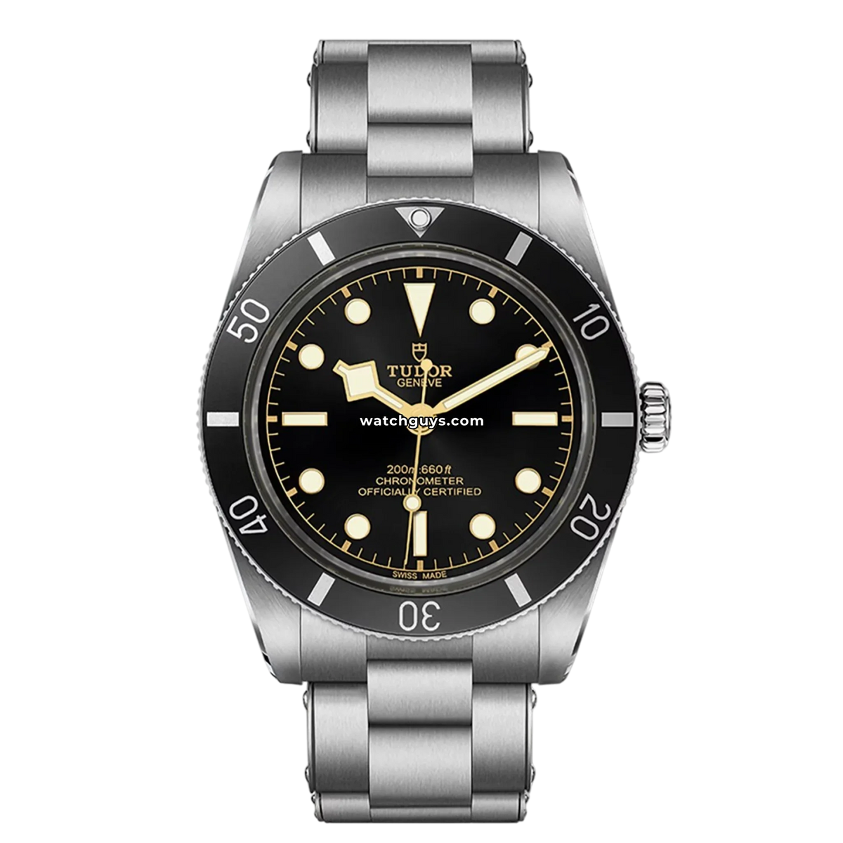 Tudor Black Bay 54 79000N