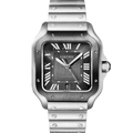 Cartier Santos Large WSSA0037