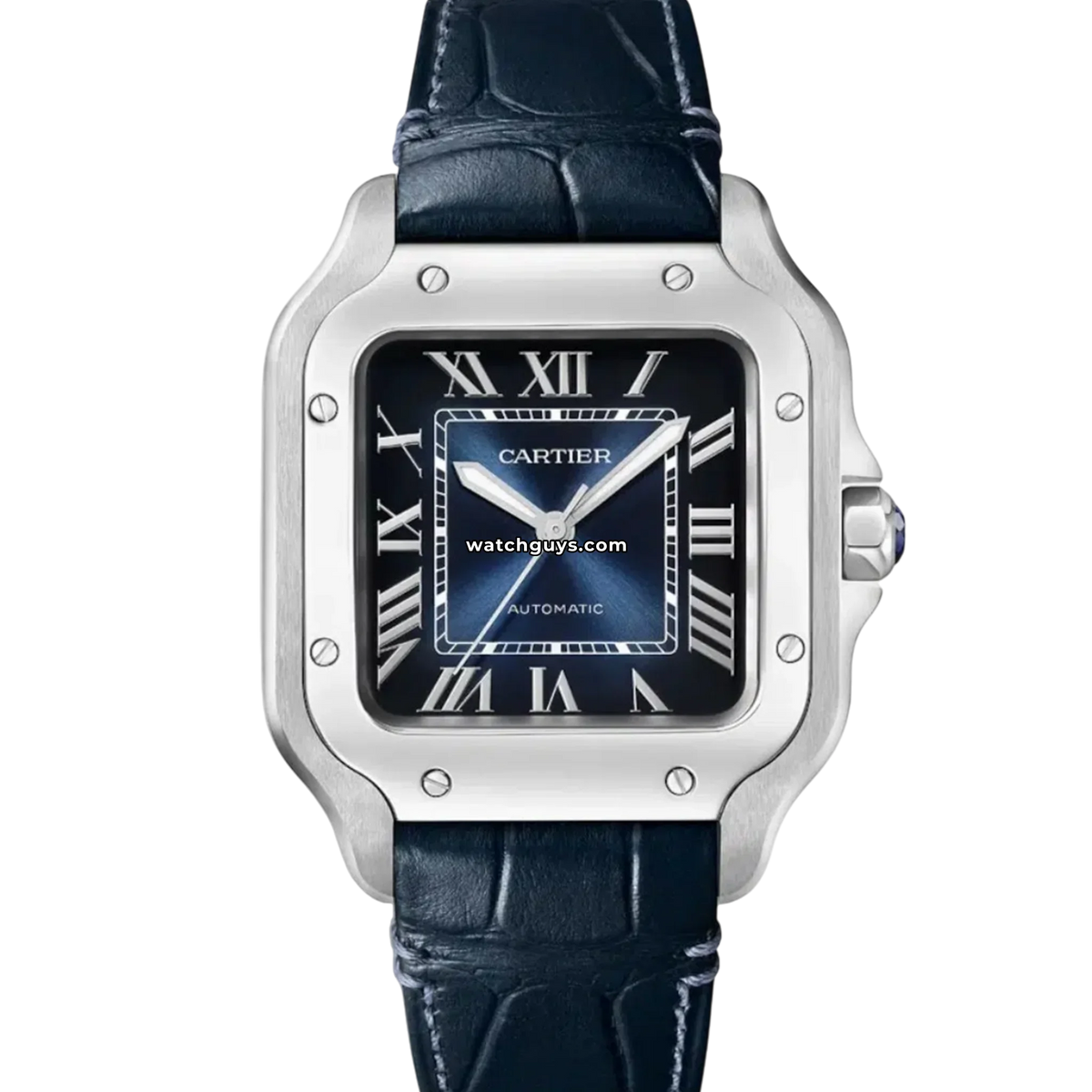 Cartier Santos WSSA0063 Blue